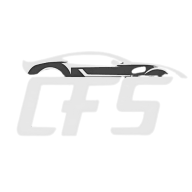CFS Logo